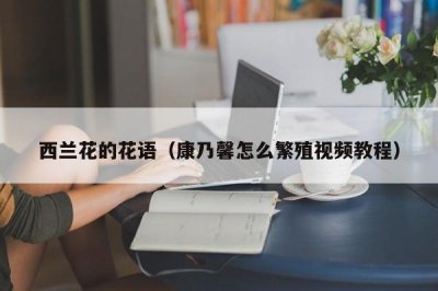 ​西兰花的花语（康乃馨怎么繁殖视频教程）