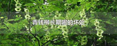 ​青钱柳正常人能喝吗 青钱柳什么人不能喝