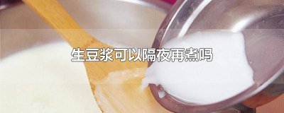 ​生豆浆可以隔夜再煮吗? 生豆浆可以隔夜再煮吗百度