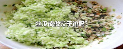 ​丝瓜能做水饺馅吗窍门 丝瓜能做饺子馅吗