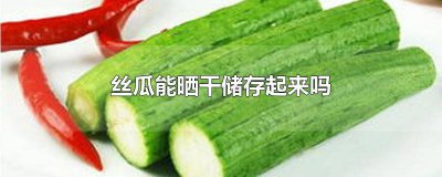 ​丝瓜怎样能保存 丝瓜能做成丝瓜干储存吗