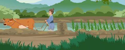 ​牛霖的营养价值及营养成分