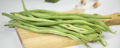 ​豇豆和豆角的区别