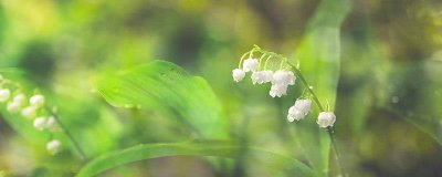 ​立春是哪天