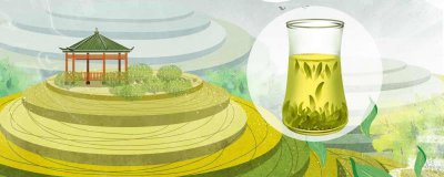 ​茶油是什么