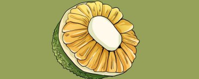 ​吃菠萝蜜可以吃鸡肉吗