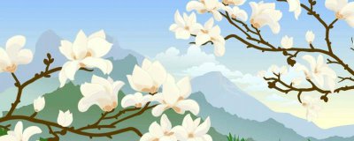 ​上海的市花是什么花