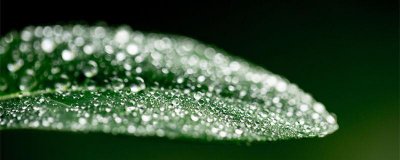 ​寒露是什么季节的节气