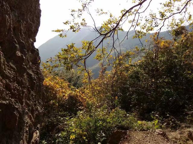 我上山游玩遇到下雨，跑进山洞里躲雨，发现里面有一个年轻和尚