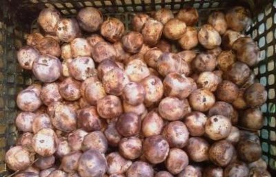 ​如何制作奶香龙虾意面