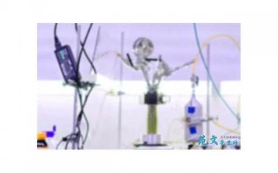 ​海王和渣男的区别在哪里？海王有哪些可学习的地方