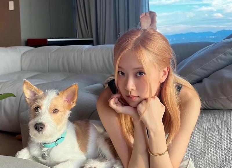 老婆精神出轨怎么办，老婆出轨精神怎么办？