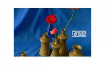 ​我妈看不上我第二任老婆，逼我跟她离婚