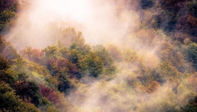 ​高楼目尽欲黄昏，梧桐叶上萧萧雨，100句古诗词，一夜雨声羁思浓