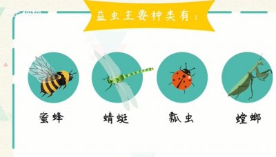 ​什么是益虫