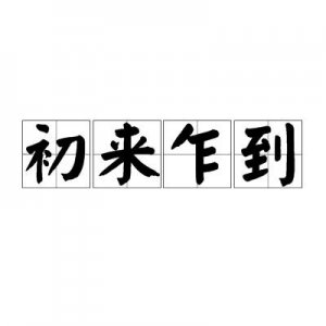 ​初来乍到什么意思