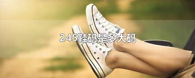 ​245鞋码是多大码