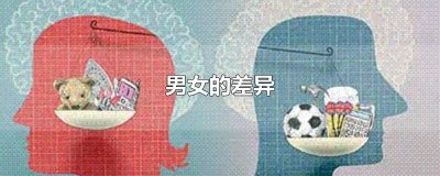 ​男女的差异