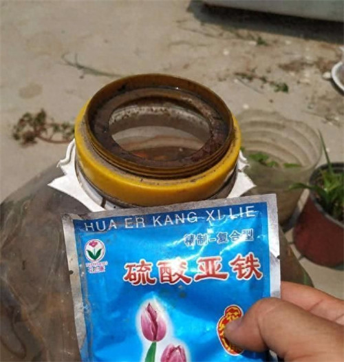 酸性肥料有哪些(在家如何制作酸性肥料)