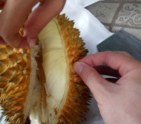 怎么开榴莲,榴莲咋打开呢图7
