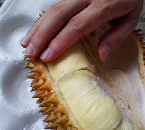 怎么开榴莲,榴莲咋打开呢图10