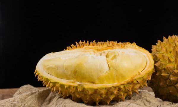 怎么开榴莲,榴莲咋打开呢图4