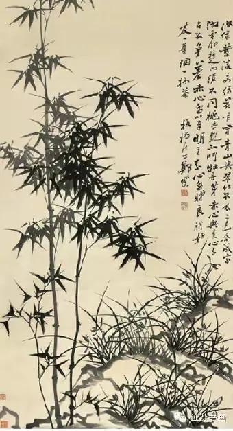 菀菀类卿到底是什么意思（到底是什么意思）(2)