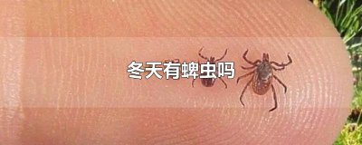 ​冬天有蜱虫吗