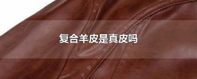 ​复合羊皮是真皮吗