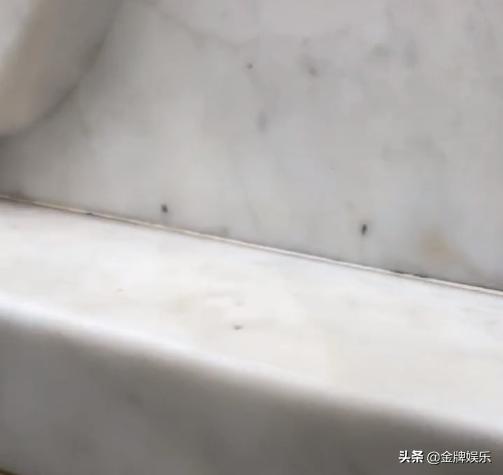 黄家驹葬礼墓地（粉丝元旦期间祭拜黄家驹）(4)