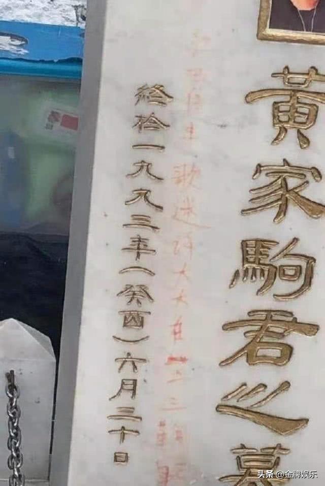 黄家驹葬礼墓地（粉丝元旦期间祭拜黄家驹）(7)
