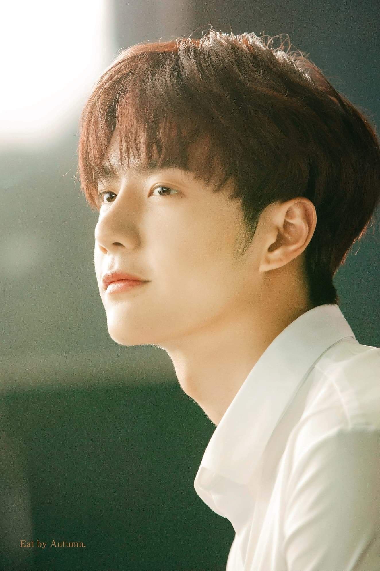 中国明星身高榜排名（盘点娱乐圈身高180的七位男演员）
