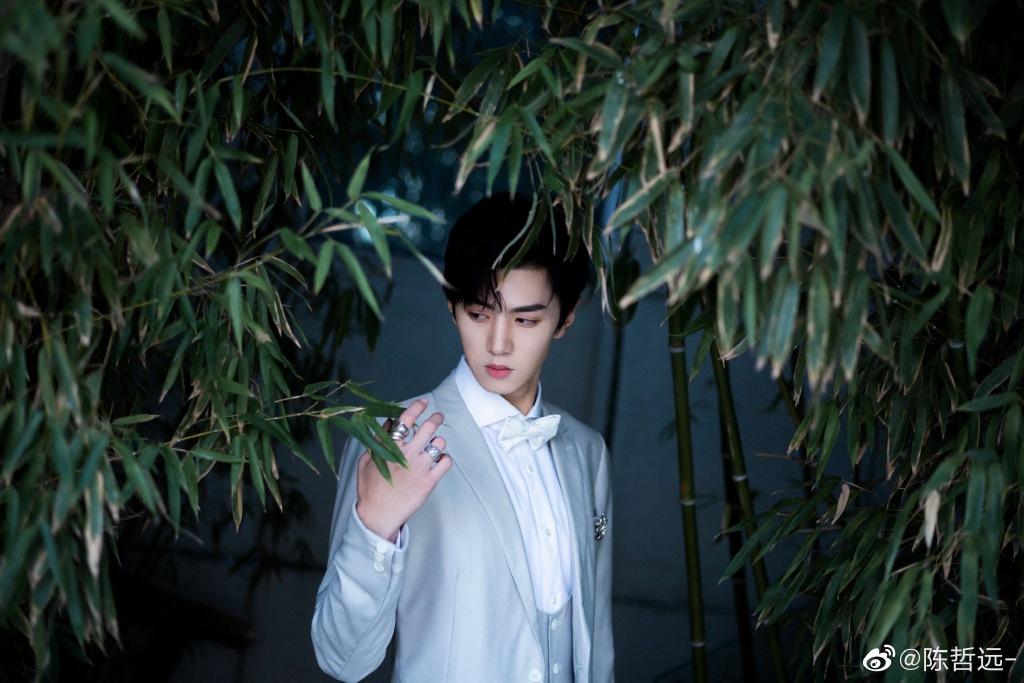中国明星身高榜排名（盘点娱乐圈身高180的七位男演员）