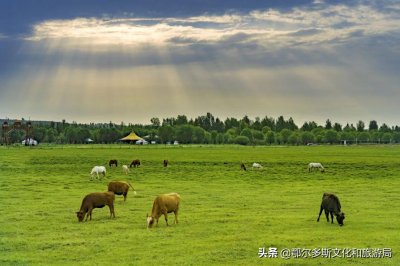 ​伊金霍洛旗属于哪个市(伊金霍洛旗有几个乡镇)