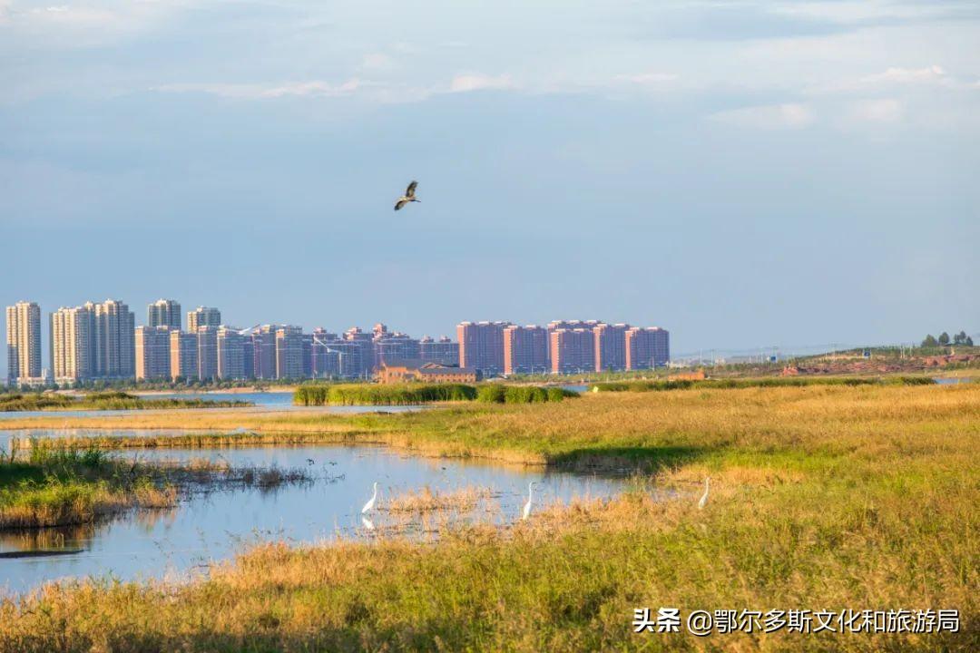 伊金霍洛旗属于哪个市(伊金霍洛旗有几个乡镇)