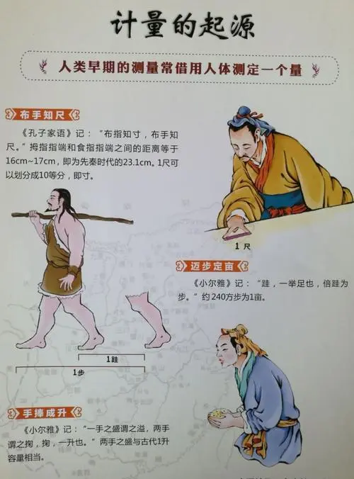 1g等于多少斤(为何不恢复“斤”为法定计量单位)