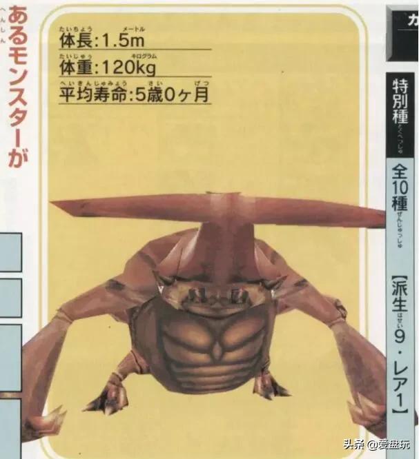 独角仙是几级保护动物(二级保护动物)
