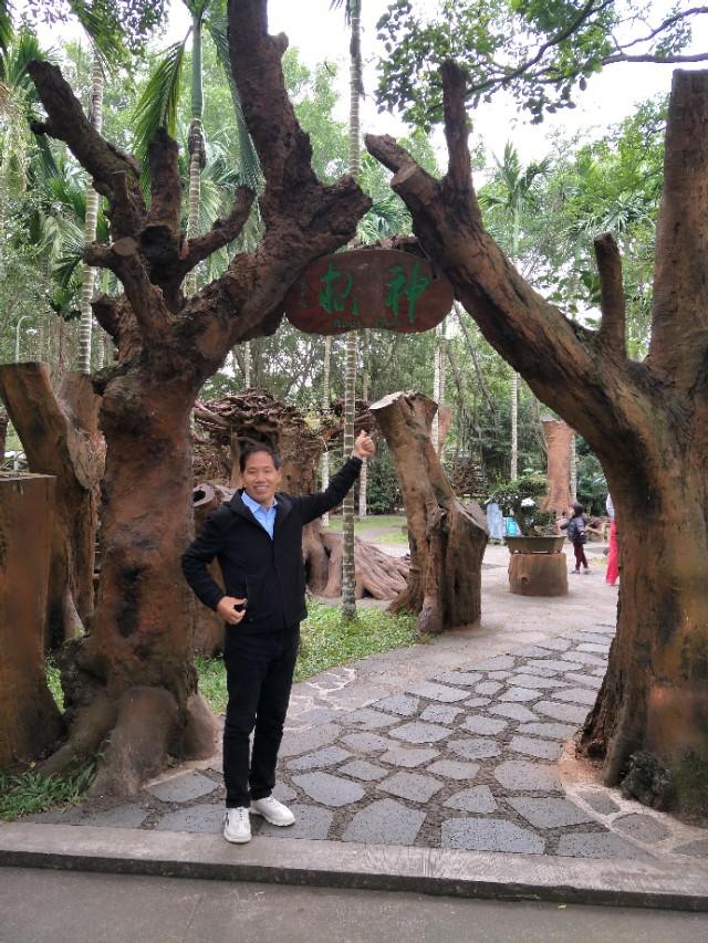 海口必去的三个景点 海口火山口地质公园(45)