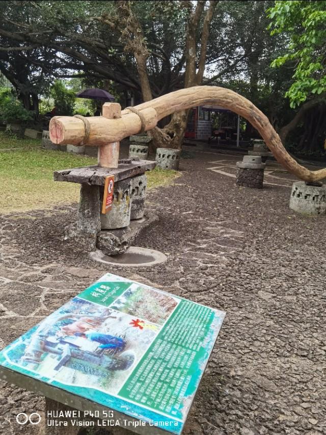 海口必去的三个景点 海口火山口地质公园(24)