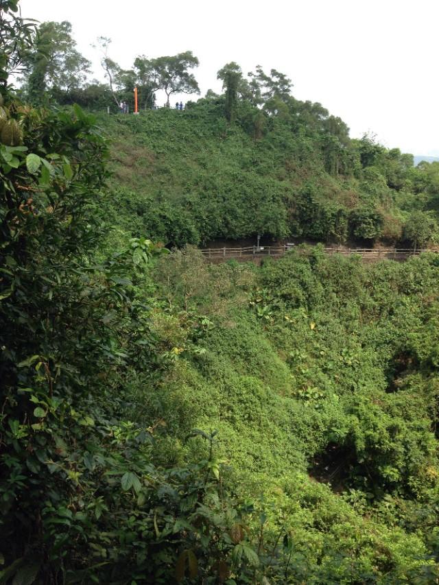 海口必去的三个景点 海口火山口地质公园(28)