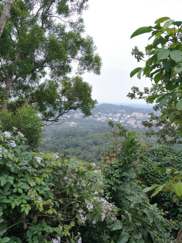 海口必去的三个景点 海口火山口地质公园(32)