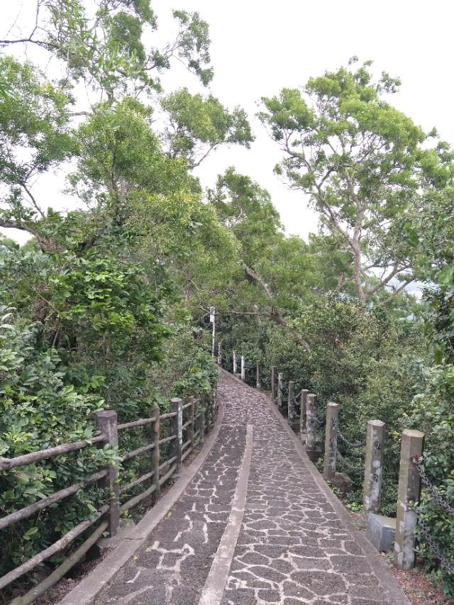 海口必去的三个景点 海口火山口地质公园(27)