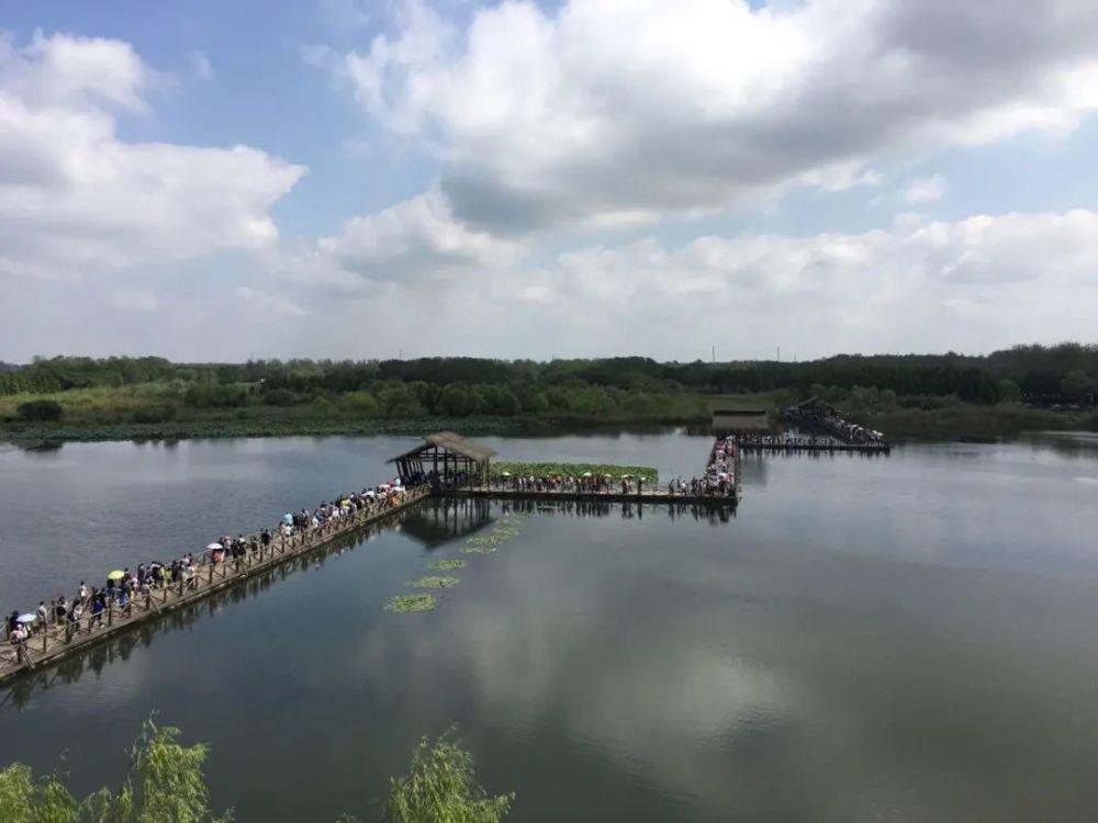 泰州有什么好玩的地方一日游（江苏泰州旅游景点大全）(图1)
