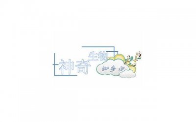 ​不知道为啥女生反感你？因为你追得太急