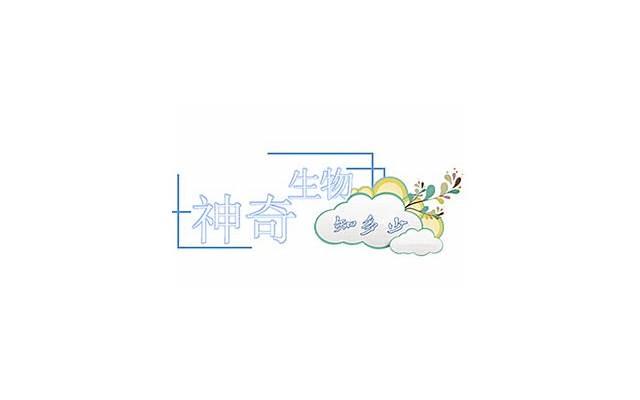 不知道为啥女生反感你？因为你追得太急