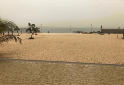 中国非洲留学生太多(为什么中国引进那么多非洲留学生)