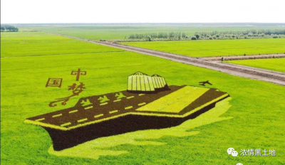 北大荒指的是什么地方(中国的北大荒在哪里)