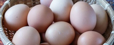 鸡蛋放久了没臭能吃吗为什么 鸡蛋放久了没臭能吃吗会中毒吗
