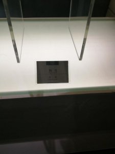 ​小维铎怎么念？郑振铎的铎怎么念