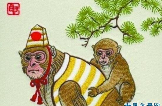 沐猴而冠认贼作父